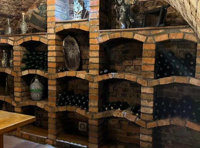 Vinny Sklipek U Frantiska 公寓 Dolní Bojanovice