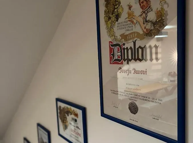 公寓 Vinny Sklipek U Frantiska Dolní Bojanovice